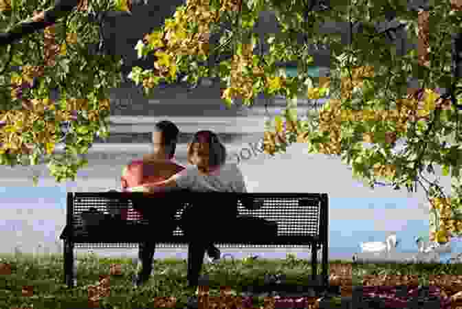 A Man And Woman Sitting On A Bench, Looking Out Over A Lake. What S Your Hurry? Pierluigi Spagnolo