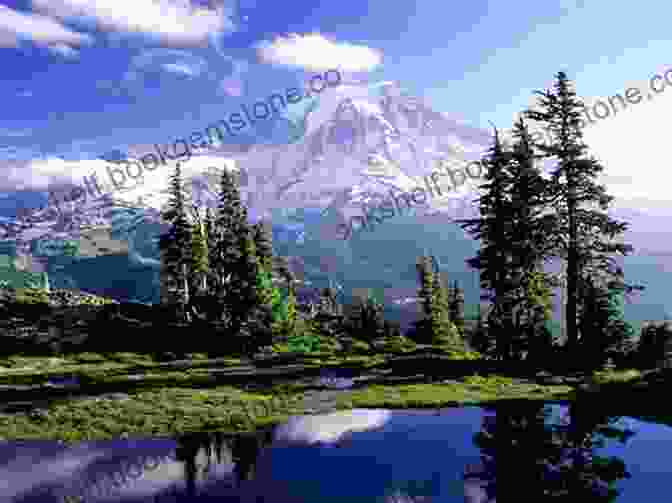 A Panoramic View Of Mount Rainier, With Its Snow Capped Peak And Glaciers Cascading Down Its Slopes. The Measure Of A Mountain: Beauty And Terror On Mount Rainier