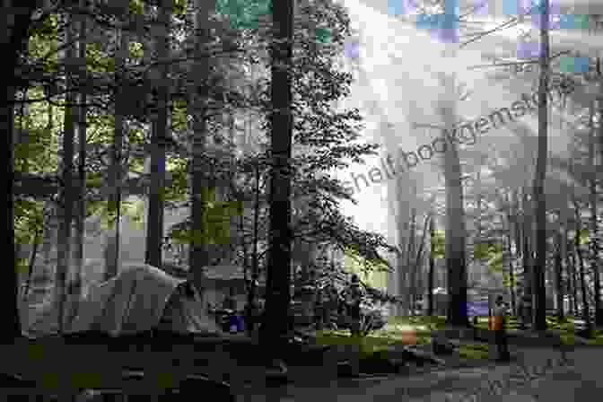 A Photo Of A Tent Pitched In A Forest In Great Smoky Mountains National Park. Fifty Places To Camp Before You Die
