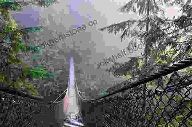 A Photo Showcasing Lynn Canyon Park's Natural Beauty, Featuring A Suspension Bridge Spanning A Deep Canyon. 105 Hikes In And Around Southwestern British Columbia
