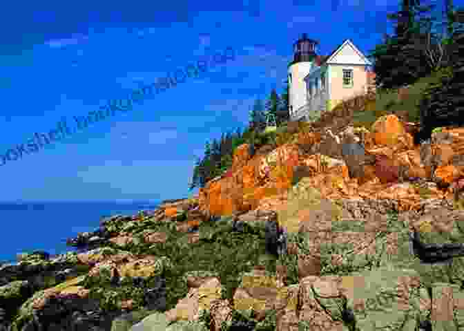 A Scenic View Of Lighthouse Park's Diverse Landscapes, Featuring Rocky Cliffs, A Lighthouse, And Lush Greenery. 105 Hikes In And Around Southwestern British Columbia