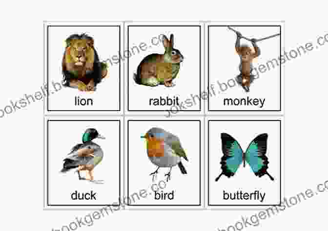 A Stack Of 150 Animal Flash Cards With Colorful Images Of Animals On Them. 150 Animal Flash Cards (Flash Cards For Children) (Peekaboo Baby 2 Toddler : Childrens Everyday Learning)