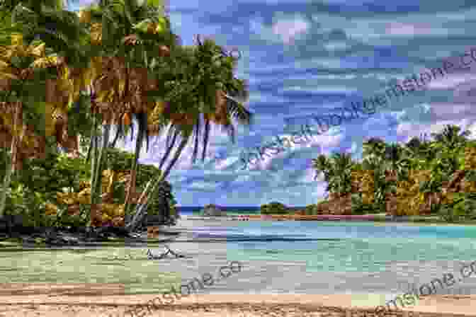 A Tranquil Scene Of A Tropical Island In The South Pacific, With White Sand Beaches, Palm Trees, And Turquoise Waters Pacific Odyssey Gwenda Cornell