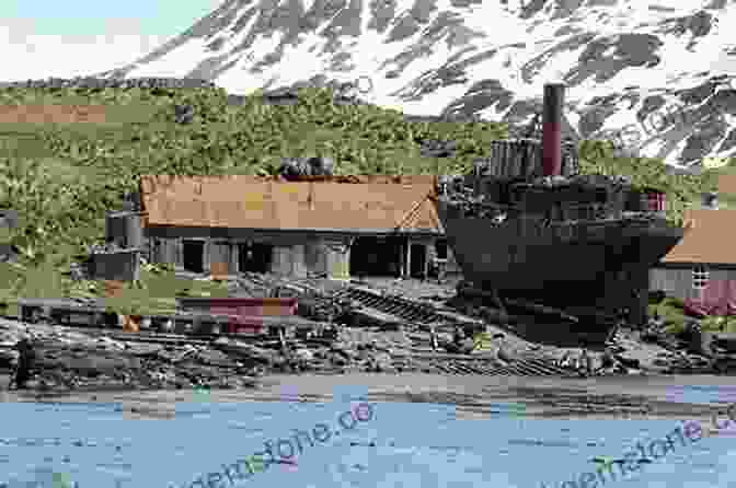Abandoned Whaling Station At Grytviken, A Poignant Reminder Of South Georgia's Maritime Heritage A Visitor S Guide To South Georgia: Second Edition (WILDGuides 110)