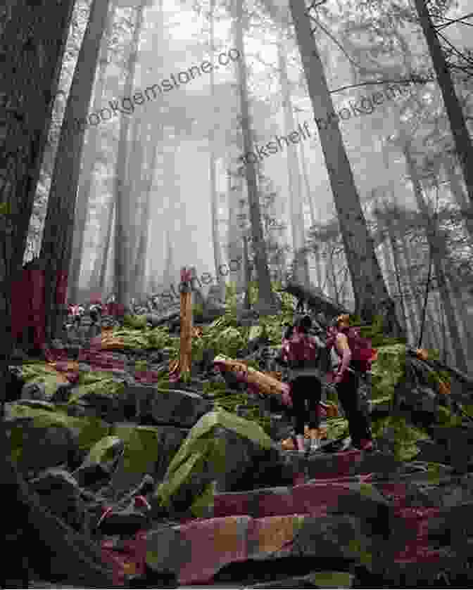 An Image Depicting Hikers Ascending The Challenging Grouse Grind Trail, Surrounded By Towering Trees. 105 Hikes In And Around Southwestern British Columbia