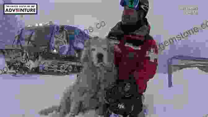Henry The Avalanche Rescue Dog Superpower Dogs: Henry: Avalanche Rescue Dog