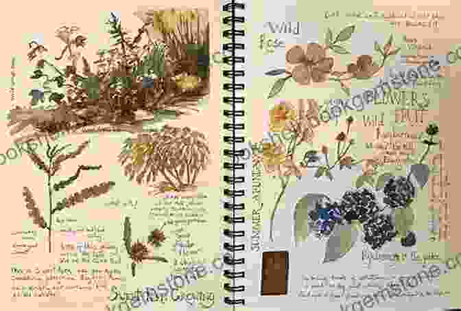 Nature Journal With Pencil Drawings Of Plants, Animals, And Landscapes My First Summer In The Sierra (With Original Drawings Photographs): Adventure Memoirs Travel Sketches Wilderness Studies