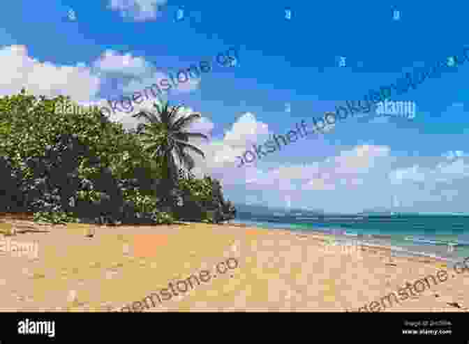 Panoramic View Of A Tropical Beach In Puerto Rico With Turquoise Waters And Lush Palm Trees Puerto Rico Beach By Beach (Travel Guide): Discover The Best Beaches In The Caribbean One Beach At A Time