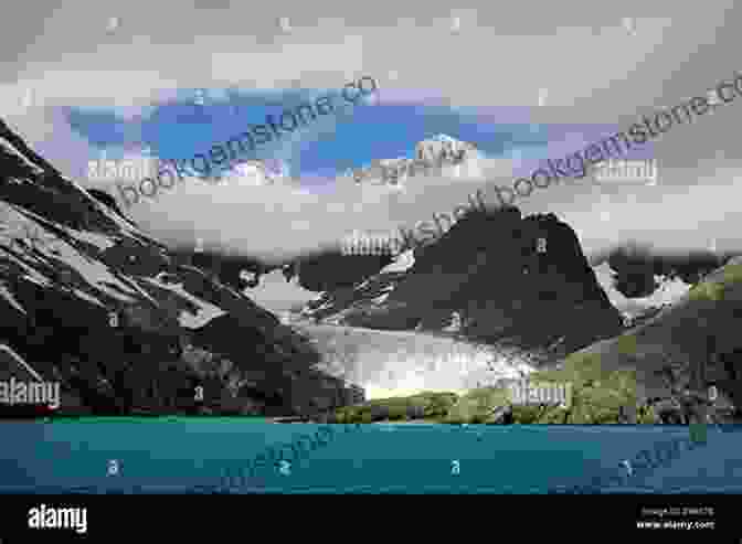 Panoramic View Of South Georgia's Rugged Coastline And Snow Capped Mountains A Visitor S Guide To South Georgia: Second Edition (WILDGuides 110)