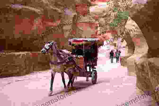 Petra's Ancient Street, Lined With Ruins And Horse Drawn Carriages Petra: Jordan S Ancient City (2024 Travel Guide By Approach Guides)