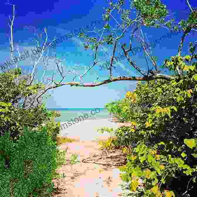 Secluded Cove At Clam Pass Park Lonely Planet Discover The Beaches Of Fort Myers Sanibel