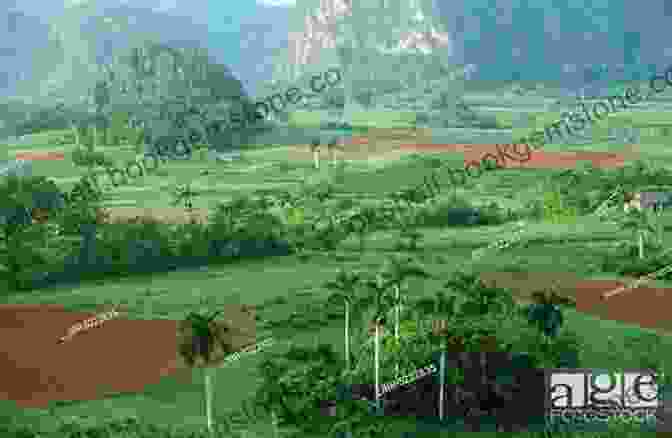 Stunning Landscape Of Viñales Valley With Tobacco Fields And Limestone Cliffs Cuba: This Moment Exactly So
