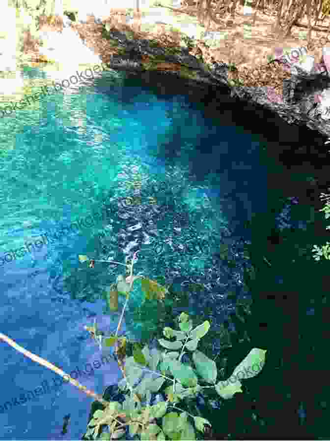 The Crystal Clear Waters Of Cenote Xcanché A Photographer S Guide To The Puuc Route