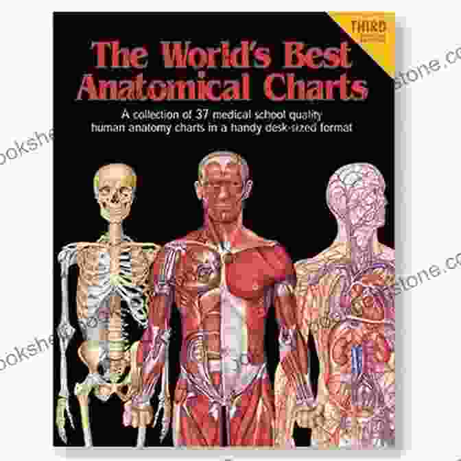 The World's Best Anatomical Charts Diseases Disorders: The World S Best Anatomical Charts (The World S Best Anatomical Chart Series)