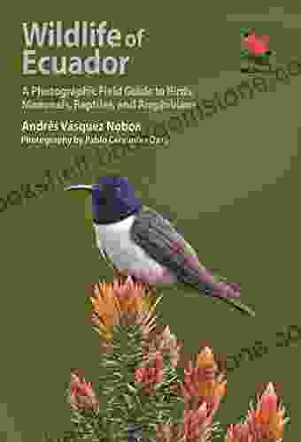 Wildlife Of Ecuador: A Photographic Field Guide To Birds Mammals Reptiles And Amphibians (Wildlife Explorer Guides)