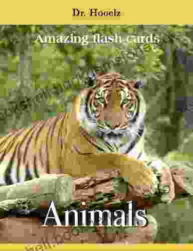 Animals Flash Cards (Amazing Flash Cards 1)