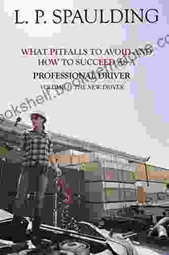 What Pitfalls To Avoid And How To Succeed As A Professional Driver: Volume 1: THE NEW DRIVER