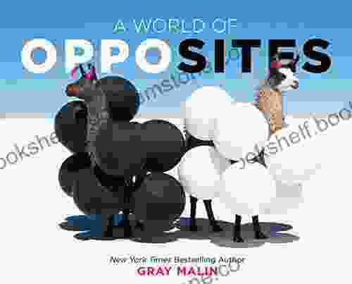 A World Of Opposites Gray Malin